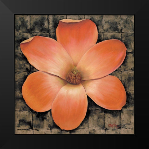 Red Poppy II Black Modern Wood Framed Art Print by Unknown