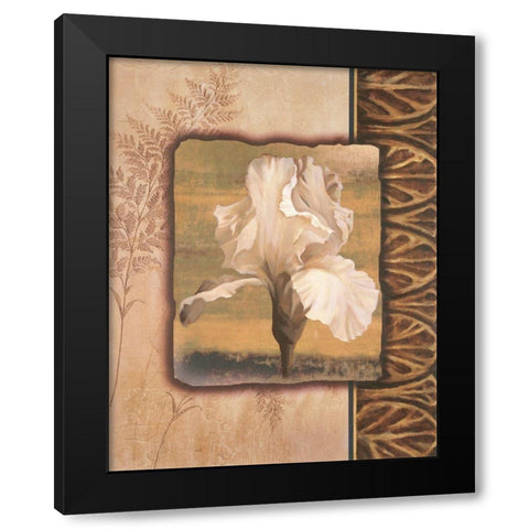 White Iris Black Modern Wood Framed Art Print by Unknown