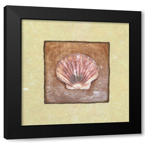Sea Shell Black Modern Wood Framed Art Print with Double Matting by Unknown