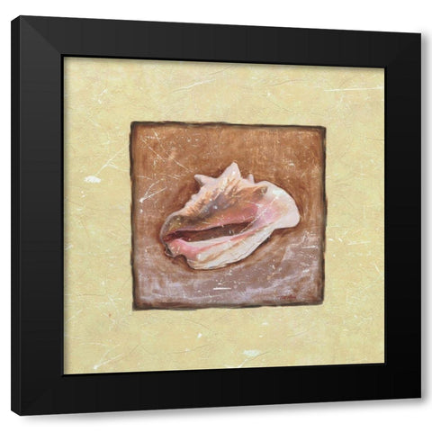 Conch Shell Black Modern Wood Framed Art Print by Unknown