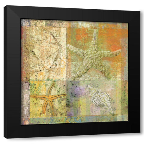 Starfish Collage Black Modern Wood Framed Art Print by Unknown