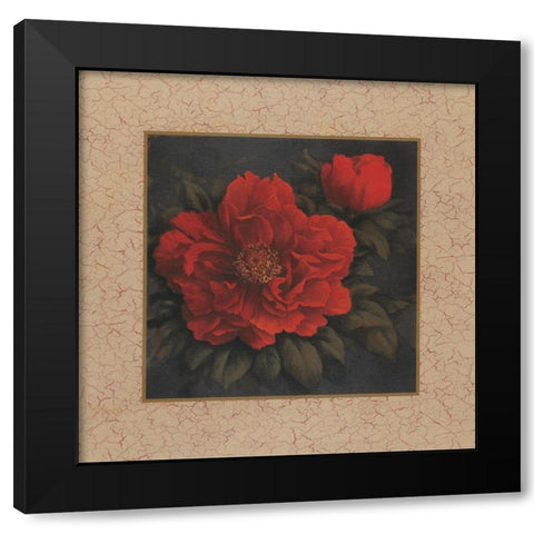 Red Carnation with Border I Black Modern Wood Framed Art Print by Unknown