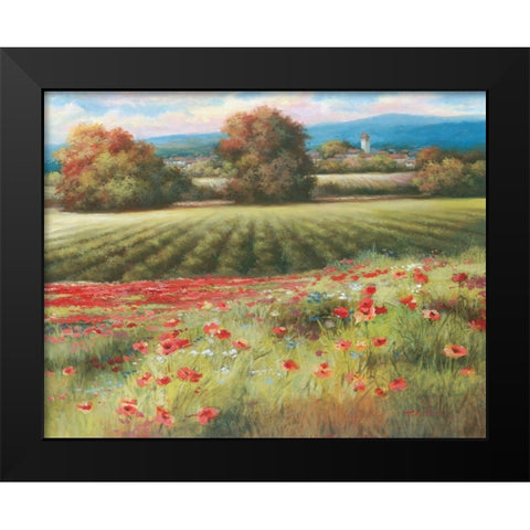 Pields of Provence II Black Modern Wood Framed Art Print by Unknown