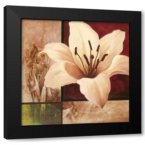 Lily Collage Black Modern Wood Framed Art Print with Double Matting by Unknown