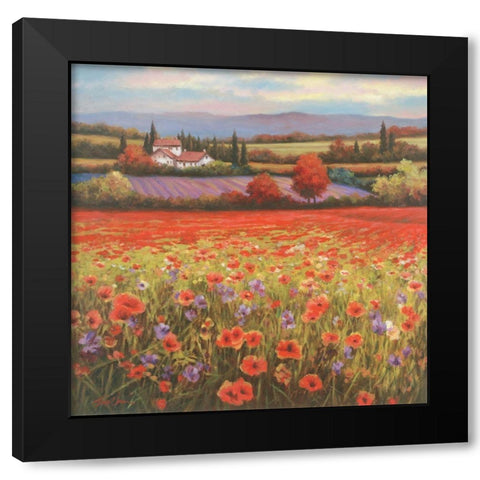 Poppy Pastures I Black Modern Wood Framed Art Print with Double Matting by Unknown