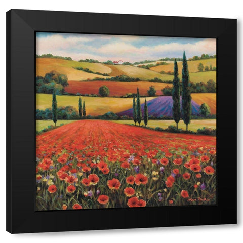 Fields of Poppies II Black Modern Wood Framed Art Print with Double Matting by Unknown