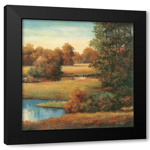 Lakeside Serenity II Black Modern Wood Framed Art Print with Double Matting by Unknown