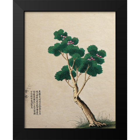 Oriental Tree Black Modern Wood Framed Art Print by Unknown