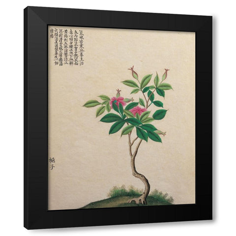 Oriental Bamboo Black Modern Wood Framed Art Print with Double Matting by Unknown