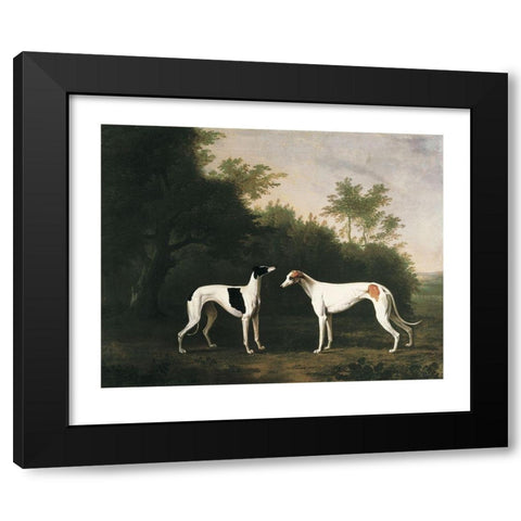 Two Greyhounds Black Modern Wood Framed Art Print with Double Matting by Unknown