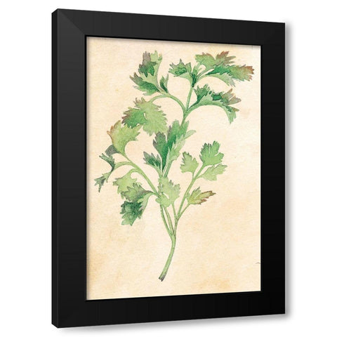 Parsley Black Modern Wood Framed Art Print with Double Matting by Unknown