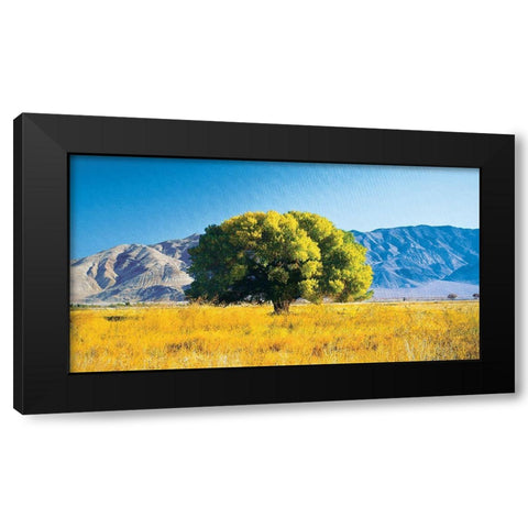 Tree on Mountain Black Modern Wood Framed Art Print by Unknown