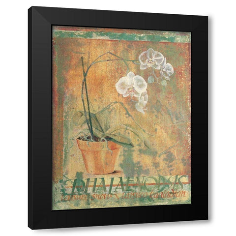 Potted White II Black Modern Wood Framed Art Print with Double Matting by Unknown