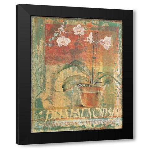 Potted White II Black Modern Wood Framed Art Print with Double Matting by Unknown