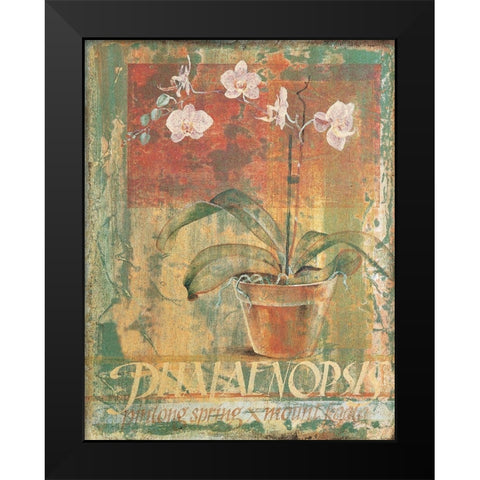 Potted White II Black Modern Wood Framed Art Print by Unknown