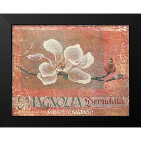 White Magnolia Black Modern Wood Framed Art Print by Unknown
