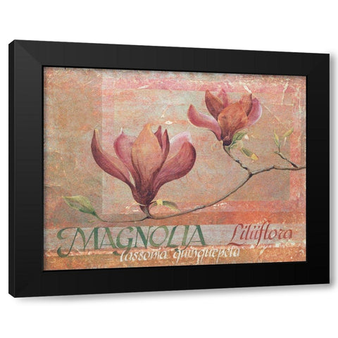Red Magnolia Black Modern Wood Framed Art Print with Double Matting by Unknown