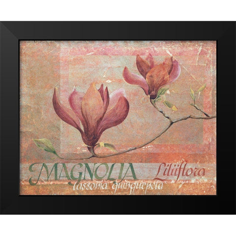 Red Magnolia Black Modern Wood Framed Art Print by Unknown