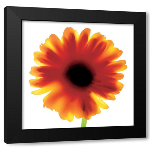 Floral I Black Modern Wood Framed Art Print with Double Matting by Unknown