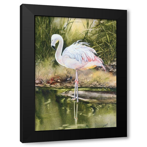 Flamingo Black Modern Wood Framed Art Print with Double Matting by Unknown