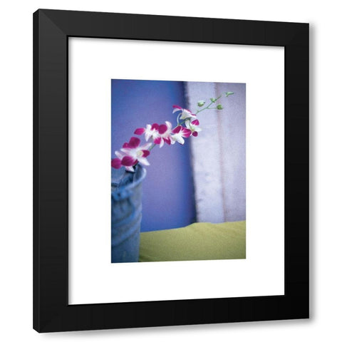 Orchids  Black Modern Wood Framed Art Print with Double Matting by Frontline