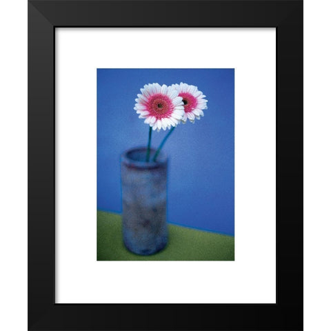 Pink Daisies Black Modern Wood Framed Art Print by Frontline