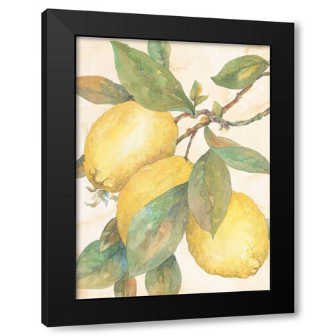 Hanging Lemons Black Modern Wood Framed Art Print by Unknown