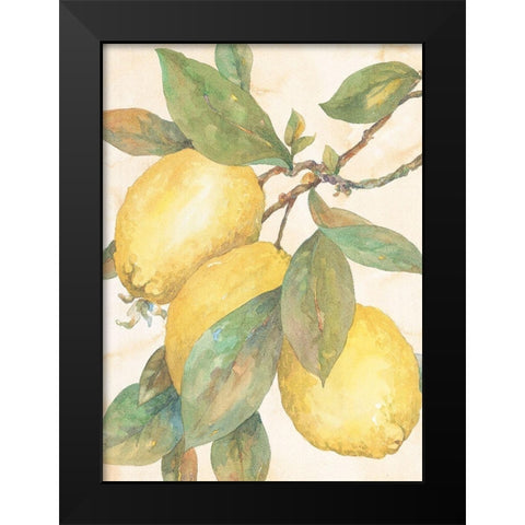 Hanging Lemons Black Modern Wood Framed Art Print by Unknown