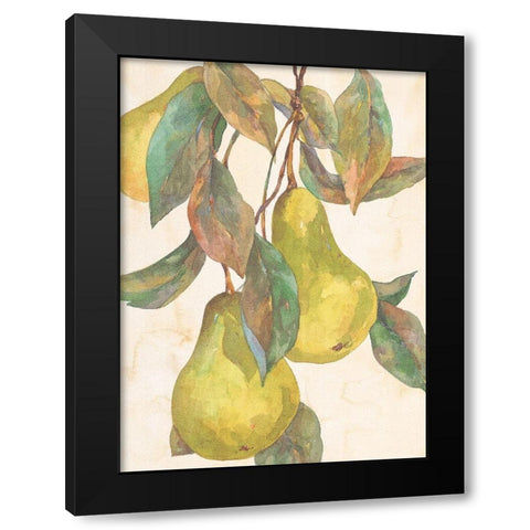 Hanging Pears Black Modern Wood Framed Art Print with Double Matting by Unknown