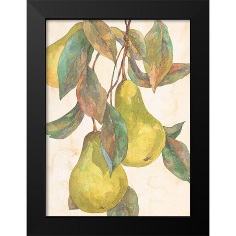 Hanging Pears Black Modern Wood Framed Art Print by Unknown