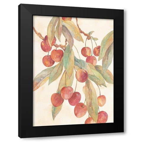 Hanging Cherries Black Modern Wood Framed Art Print by Unknown