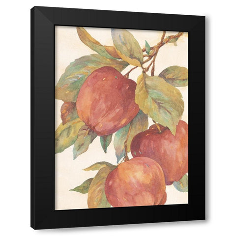 Hanging Apples Black Modern Wood Framed Art Print by Unknown
