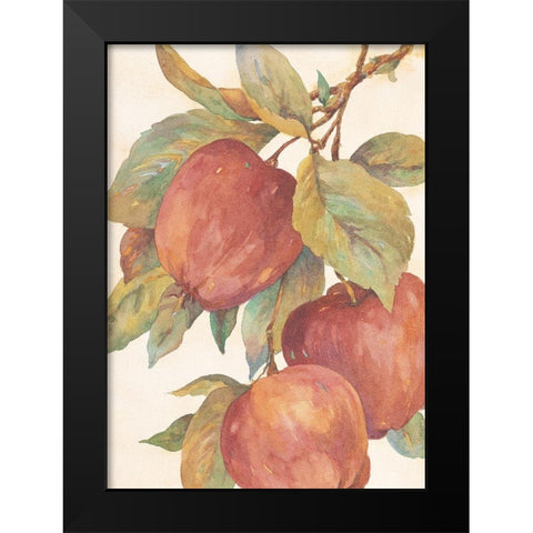 Hanging Apples Black Modern Wood Framed Art Print by Unknown