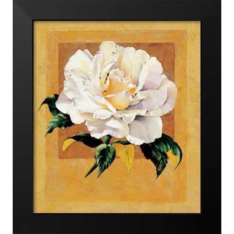White Rose I Black Modern Wood Framed Art Print by Unknown