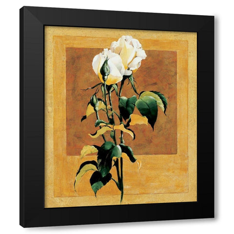 White Rose III Black Modern Wood Framed Art Print by Unknown