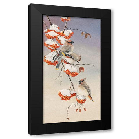 Finch on Perch Black Modern Wood Framed Art Print by Unknown