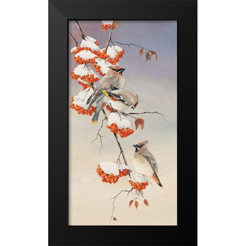 Finch on Perch Black Modern Wood Framed Art Print by Unknown
