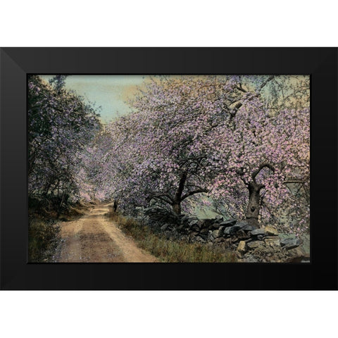 Apple Blossoms II Black Modern Wood Framed Art Print by Unknown