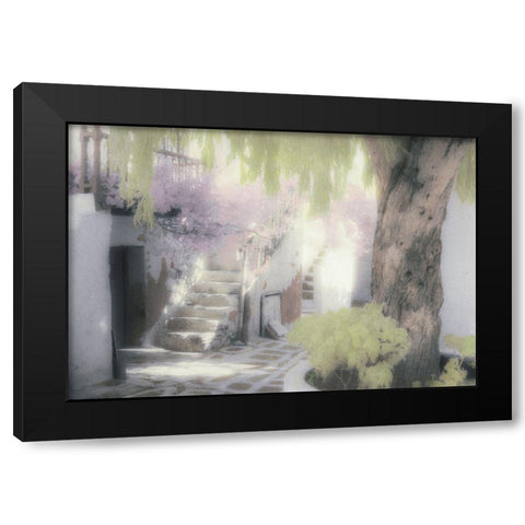 Stairs and Tree Black Modern Wood Framed Art Print by Unknown