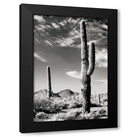 Cactus Black Modern Wood Framed Art Print by Unknown