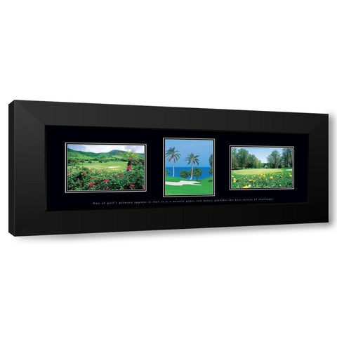 Golf Palms Black Modern Wood Framed Art Print with Double Matting by Unknown
