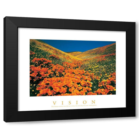 Vision - Edelweiss Flowers Black Modern Wood Framed Art Print by Unknown