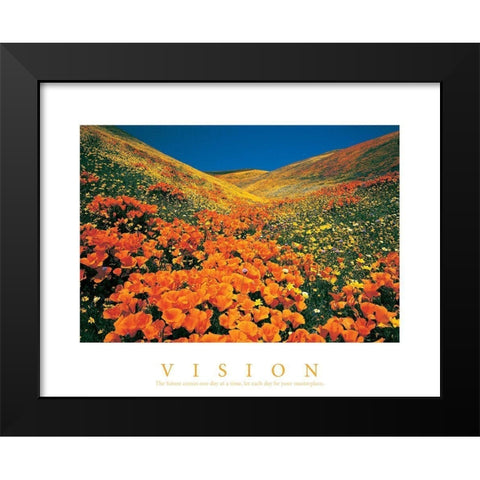 Vision - Edelweiss Flowers Black Modern Wood Framed Art Print by Unknown