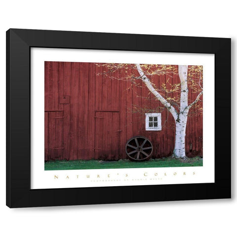 Red Barn and Aspen Tree Black Modern Wood Framed Art Print by Unknown