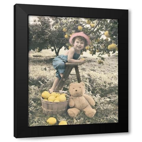 Girl Picking Apples Black Modern Wood Framed Art Print by Unknown