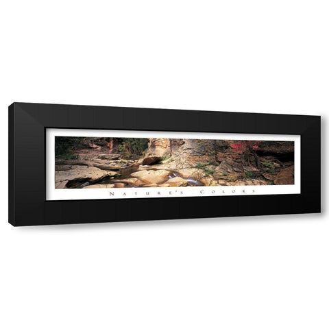 Rock Pond - Nature Black Modern Wood Framed Art Print with Double Matting by Unknown
