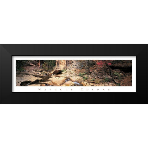 Rock Pond - Nature Black Modern Wood Framed Art Print by Unknown
