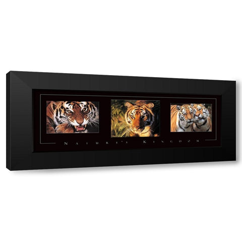 Tiger Tryp Black Modern Wood Framed Art Print by Frontline