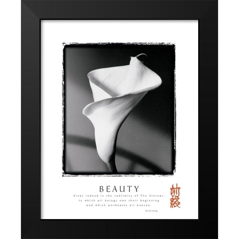 Beauty - Lily Black Modern Wood Framed Art Print by Unknown