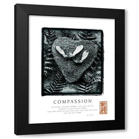 Compassion - Ferns Black Modern Wood Framed Art Print with Double Matting by Unknown